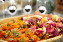 Earth tu Face - Skin Stick